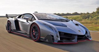 loverlambo's profile picture. Raging bull cant be stopped. 12 yrs old.