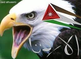 hamzeh_tashman's profile picture. 