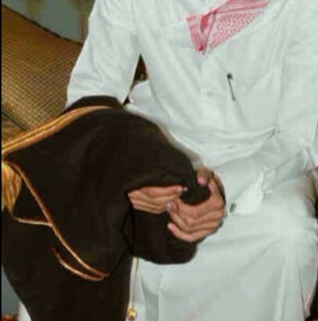 إهْتَمّ بآسلوبَك فَ هُوَ تعبَيْر مُوجَز يَشَرحْ مَنْ أنتْ