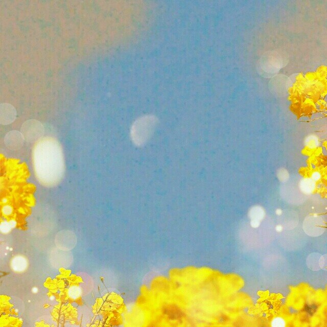 injanen's profile picture. 大河 朝ドラ。スポーツけっこー好き。涙もろいお年頃。年甲斐もなく走り回るの好き❤