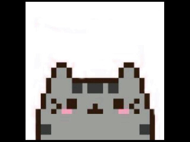 kimberneigh's profile picture. ♡ @stylinseals is my baby seal ♡