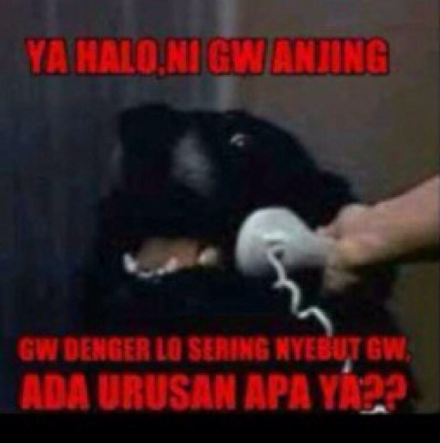 Disini tempat kata kata motivasi untuk anak gaul :)|percaya pada diri sendiri|tetap gaul|SALAM GAUL!!