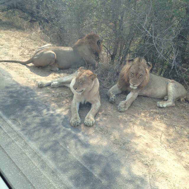 markronit's profile picture. 