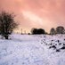 Talk Yorkshire (@talk_yorkshire) Twitter profile photo