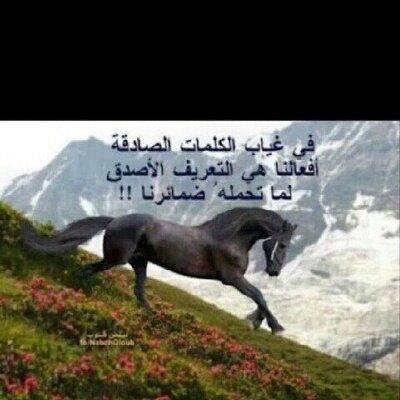 نسمات الصباح كلام عن الصباح تويتر