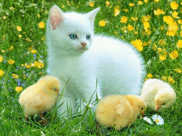 ‏‏‏‏‏‏‏‏‏‏‏‏‏‏‏استغفرالله العظيم واتوب اليه سبحان الله العظيم وبحمده    استقرام ‎‎‎‎‎‎‎‎‎‎‎‎‎‎‎‎‎‎‎@adam826gmailcom