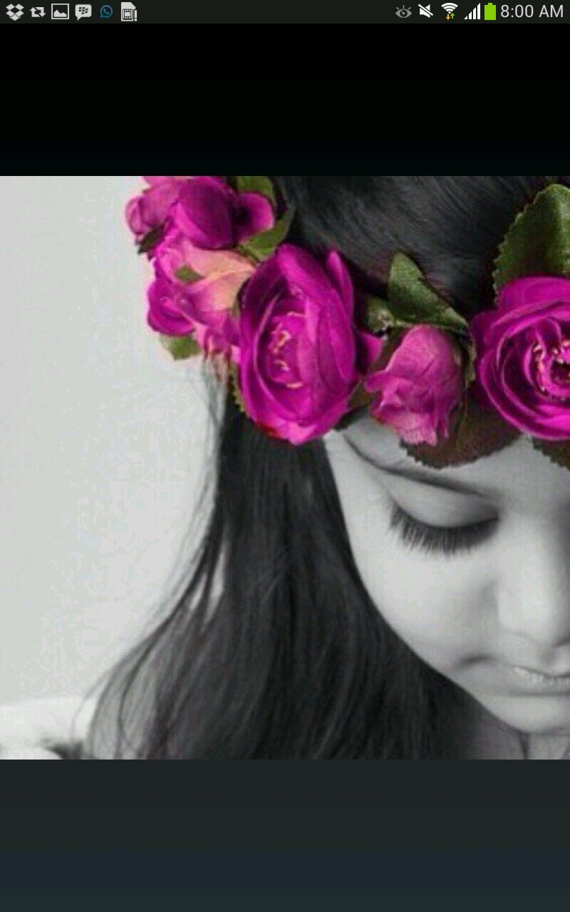 o0lFl0o's profile picture. 