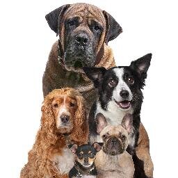 Fun Dog Weekend Spectacular! Promoting All Things Dog!
Have-A-Go/Demonstrations/Greet The Breeds, 
21st & 22nd June 2014, #FITforFUN