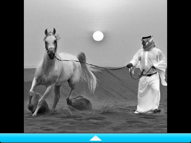 شاعر متواضع