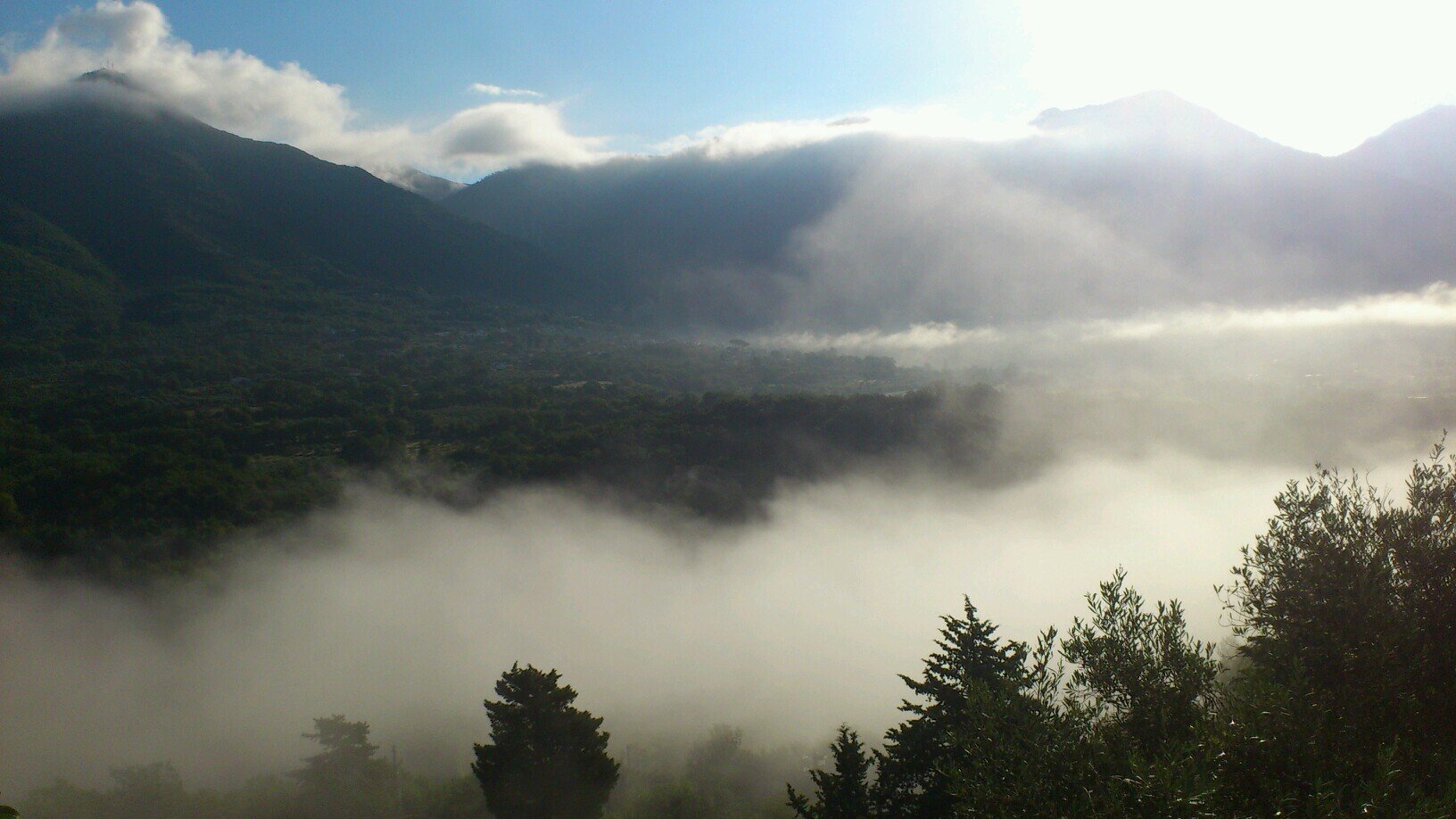 GVitrani's profile picture. 