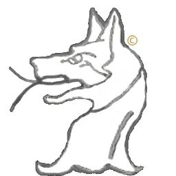 Official Twitter of the Wolf Group. @insyncmag | @Village_Popup | @inSYNCLabel | @wearemrscrumpy | @winterwarmingbc