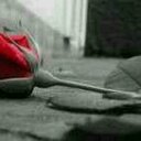 الرعد (@053046523) Twitter