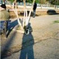 Şahin Yamaner (@yamaner69) Twitter profile photo