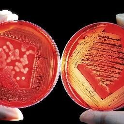 Blog Biomedicina Bahia é um espaço para discutir coisas do mundo da BIOMEDICINA e do mundo, em geral!