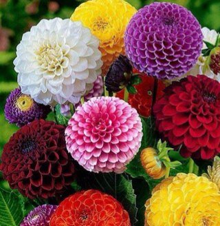 ‏﷽ {قُلْ هَلْ نُنَبِّئُكُمْ بِالْأَخْسَرِينَ أَعْمَالًا الَّذِينَ ضَلَّ سَعْيُهُمْ فِي الْحَيَاةِ الدُّنْيَا وَهُمْ يَحْسَبُونَ أَنَّهُمْ يُحْسِنُونَ صُنْعًا}