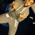 OsoArrogant Courts (@courtsversace) Twitter profile photo