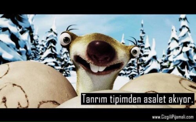 TFilazi's profile picture. 