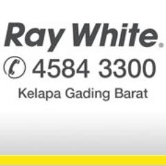Professional Real Estate Agency