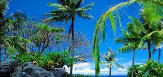 TBelieber3's profile picture. Hai , im chrissy , belieber? Follow meh