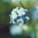صديق المدرسة (@0000000000592) Twitter