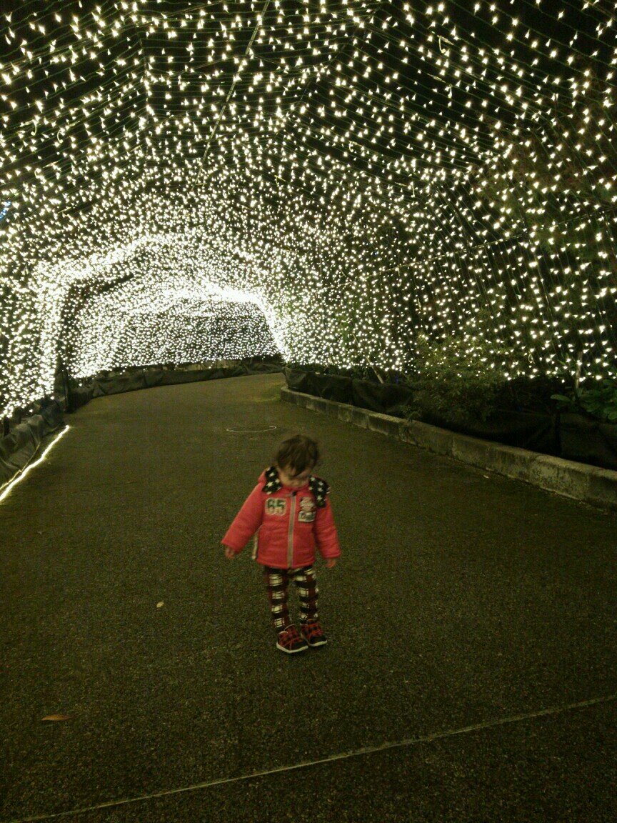 2012年3月1日に帝王切開で女児(通称がっちゃん)を2015年12/31二人目男児(通称ようくん)を出産 育児ツイ 義父と同居 2020年4月ぶどう膜炎発症治療中プレドニゾロン8mg/日服薬中