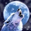 sandra klima - @neriel111 - Twitter