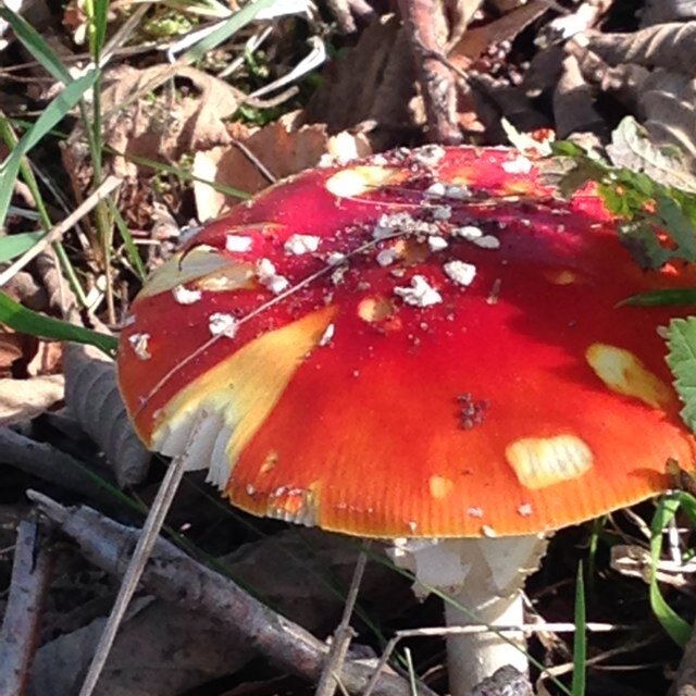 lamme249's profile picture. 