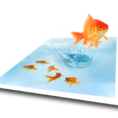 VivianneSmit's profile picture. Nieuwe Media wetenschapper.