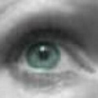 piratenbine (@billow4) Twitter profile photo