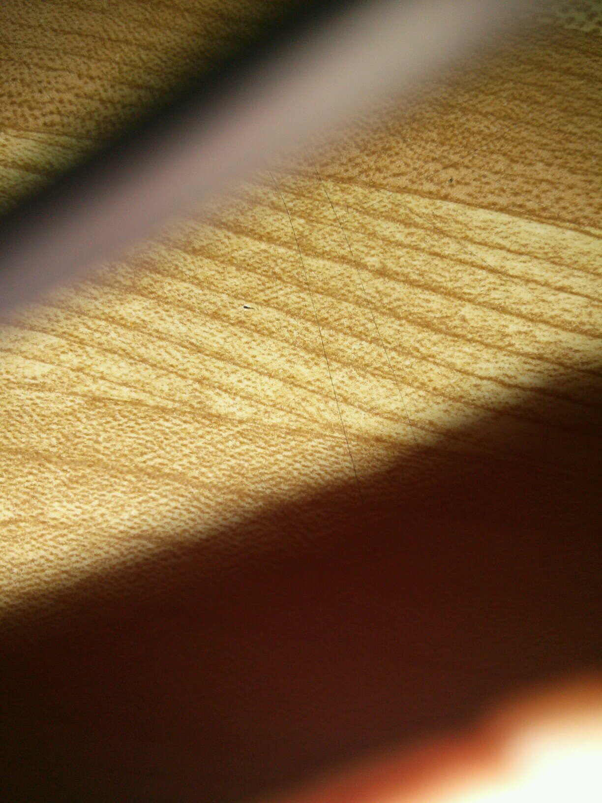 mylougosselin's profile picture. 