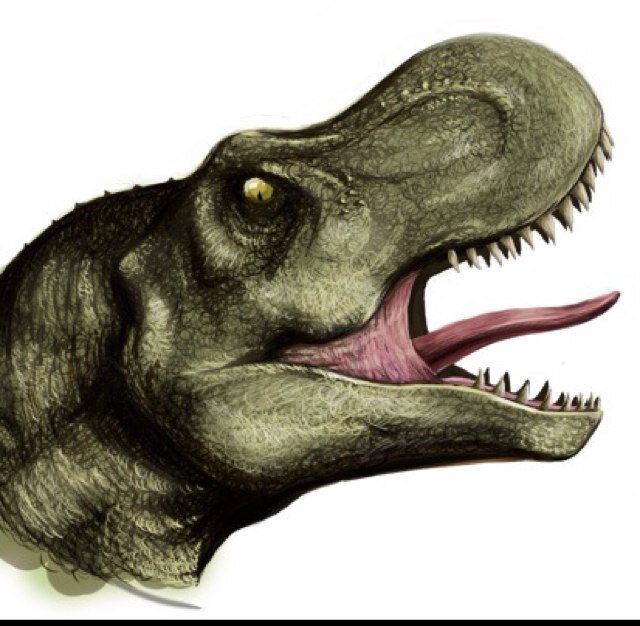 dinosaurs93's profile picture. 