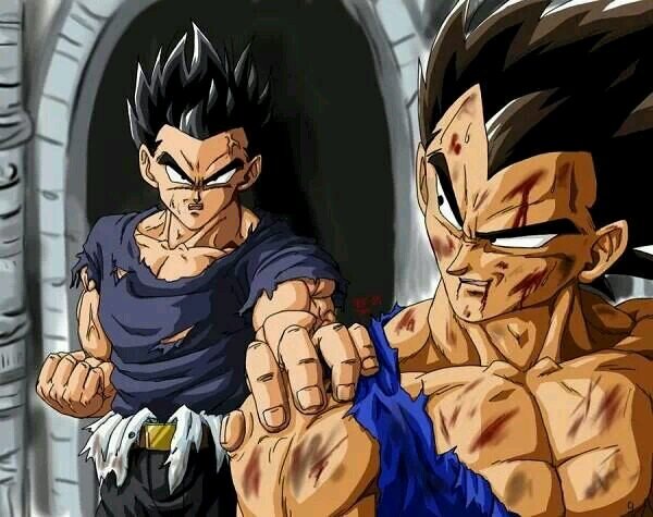 I'M VEGETA.. I Am Now Stronger Then Ever. There Will Be One Day That I Will Surpass Kakarot...

       You All Are Free To Follow .. #RP #DBZ