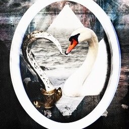 Anybody who doesn't ship Captain Swan can walk the bloody plank and pray the mermaids take pity on their soul!