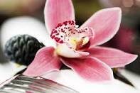 Salon and Day Spa in Arlington, TX. Specializing in Hair, Skin, Nails, Detox, and Weight Management. Come by and visit today!