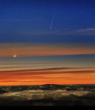 whodunnit25's profile picture. Random test of twitter