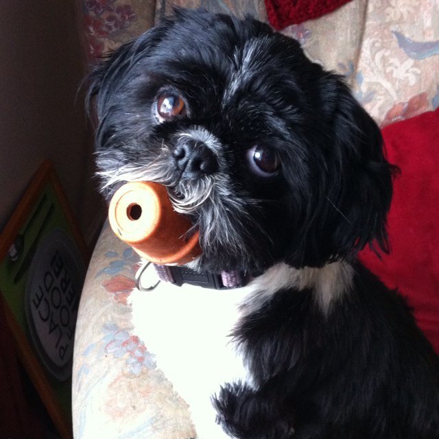 1961linda's profile picture. 