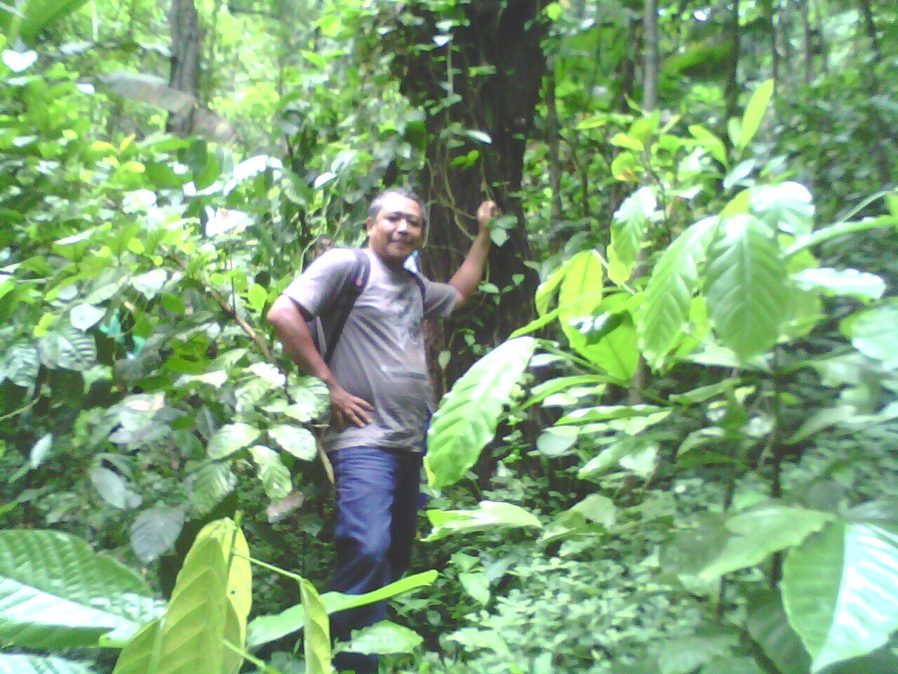 SaefulFahutan's profile picture. 