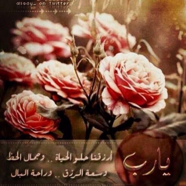 omfarah30's profile picture. 