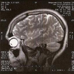 glossenhauer's profile picture. Redakteurin, Zwischen Süddeutscher Zeitung und Focus – ortstechnisch, nicht inhaltlich. Energiewirtschaft. Nächstes Ziel: Weltherrscherbeherrscherin