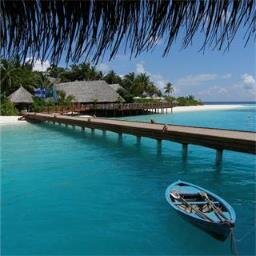 DThomas673's profile picture. 