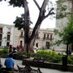La Alameda Puebla (@laalamedapuebla) Twitter profile photo