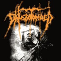 phlebotomized (@phlebotomizednl) 's Twitter Profile