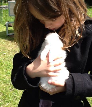 ;) LISSE