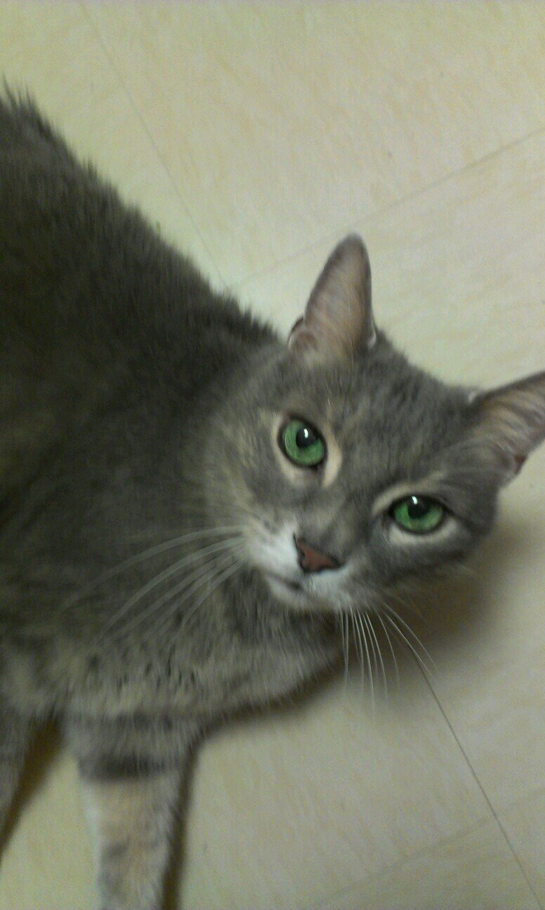 CarolynProctor's profile picture. Working 56 years @ the largest inbox 📚📖🗂🎞🎼in the 🌎Proud grandmom. ❤️ the Yankees! ❤️docs & 📚 especially NF #RidingWithHarris