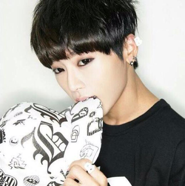 Leader, Vocalist & Rapper degli /AlphaBat/ - @Fie_AlphaBAT BFF(?)-