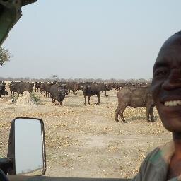 I offer camping safaris day trip, cruise, game drives,Chobe NP , Savuti, Okavango Delta, Central KGR Victoria Falls Zimbabwe/Zambia transfer mokoro,night drive