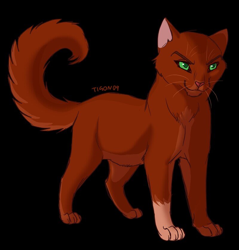 She-Cat I have no Clan Or Mate i live alone in the forest but i will join a clan if im asked!!!