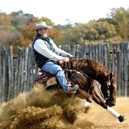 Non Pro member of NRHA.  I train and show/sell reining horses in Whitesboro, TX.