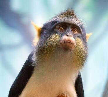 ScottCoffrin's profile picture. 下手くそくせにスマブラDXやってる～