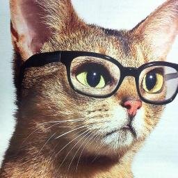 radium228's profile picture. Student of Media Technology